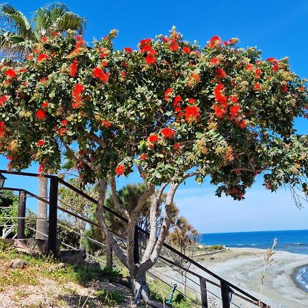 Astrofegia Beachfront Villa Pomos Exterior photo